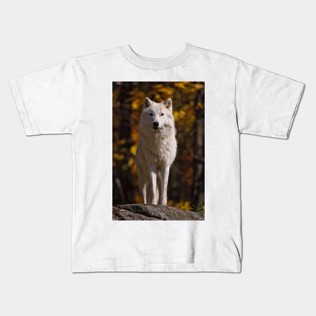 Arctic Wolf Kids T-Shirt by jaydee1400